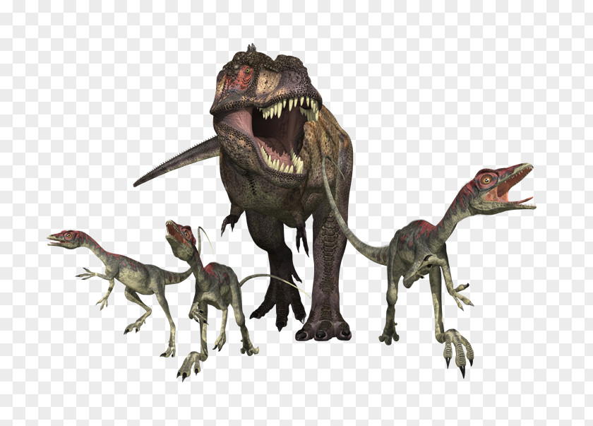 Dinosaurs Tyrannosaurus Velociraptor Gallimimus Albertosaurus Dinosaur PNG