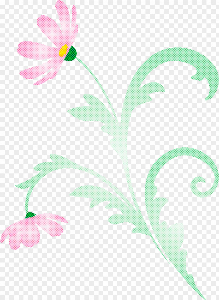 Flower Frame Floral PNG