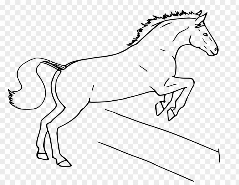 ·horse Irish Sport Horse Horses & Jumping Equestrian Show PNG