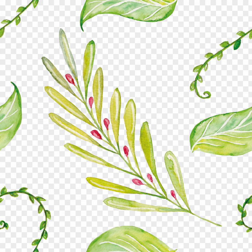 Leaves Watercolor Painting Download Clip Art PNG