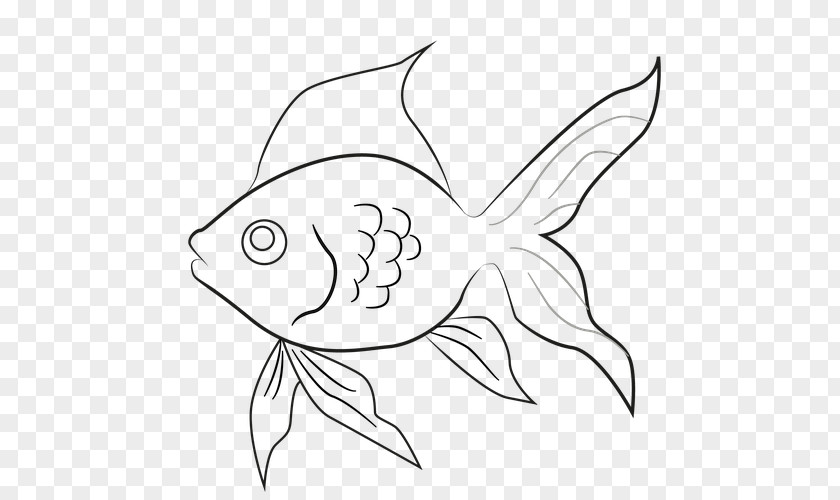 Butterfly Goldfish Drawing USMLE Step 3 Line Art Clip PNG