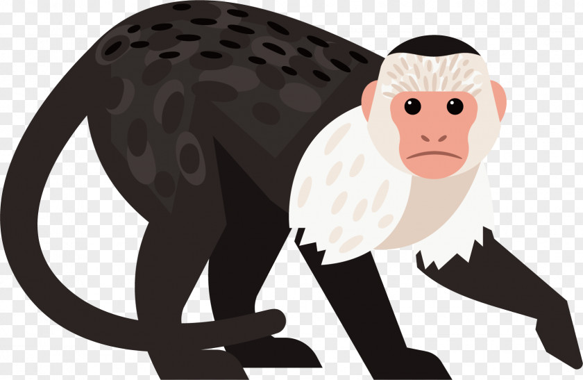 Cute Little Monkey Gibbon Baboons Chimpanzee PNG