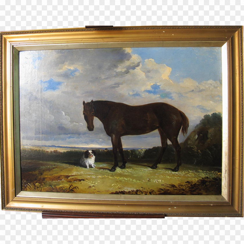 Mustang Stallion Mare Painting Picture Frames PNG