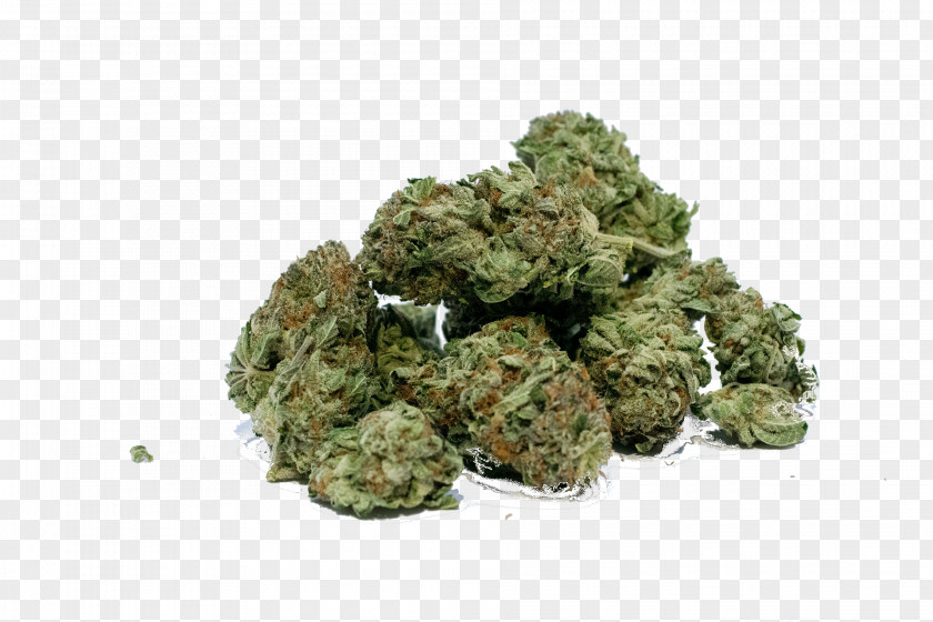 Cannabis Medical Dispensary Shop Legalization PNG
