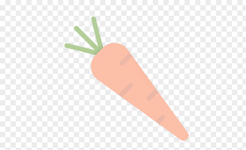 Carrot Root Vegetable Food Plant PNG
