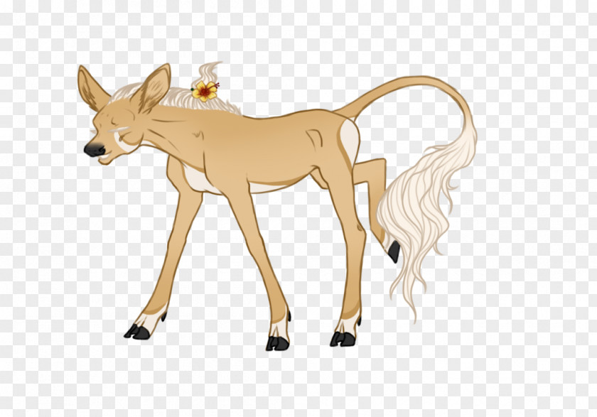 Horse Deer Mare Name Dog PNG