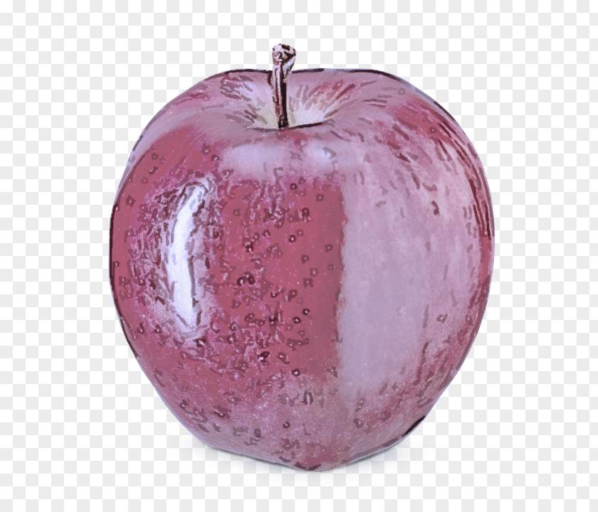 Malus Rose Family Fruit Apple Purple Pink Plant PNG