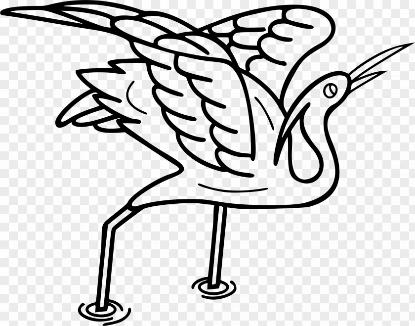 Turkey Bird Water Clip Art PNG