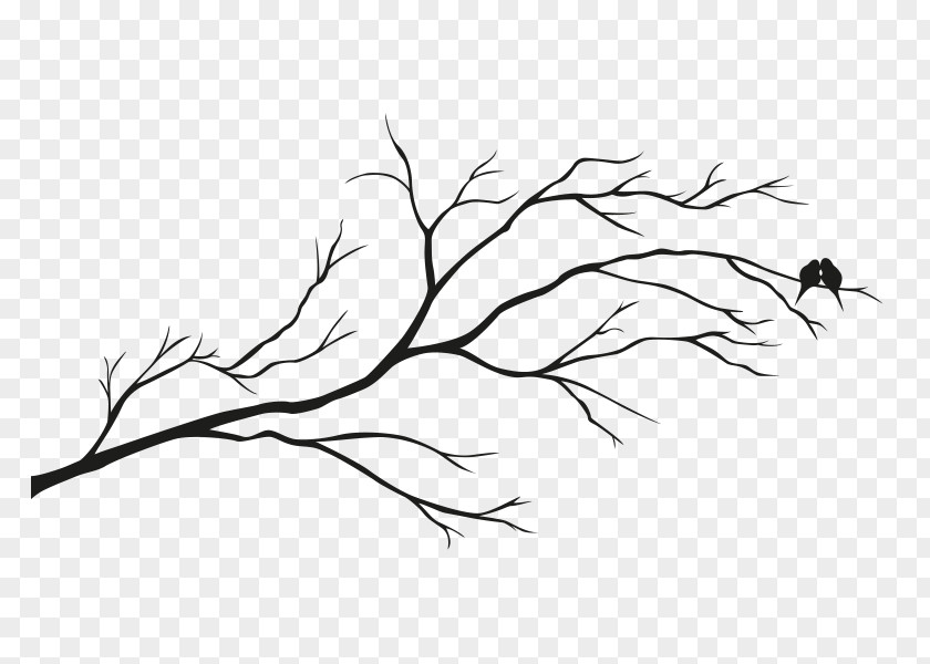 Ast Wall Decal Twig Stock Photography PNG
