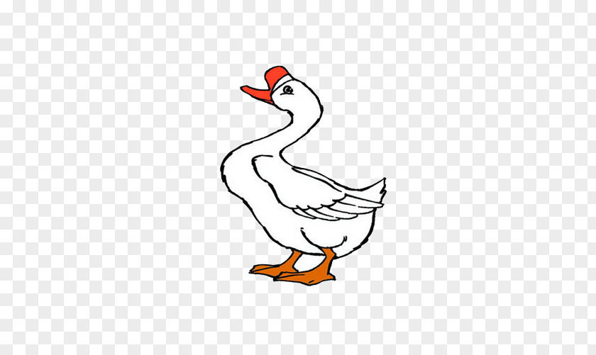 Cartoon Goose Domestic Duck PNG