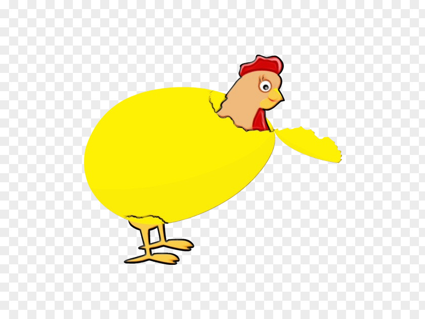Duck Livestock Bird Yellow Cartoon Beak Chicken PNG