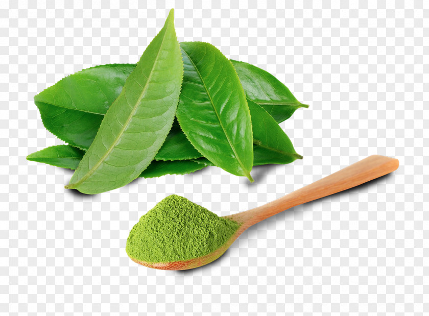 Green Tea Matcha Goji Berry PNG