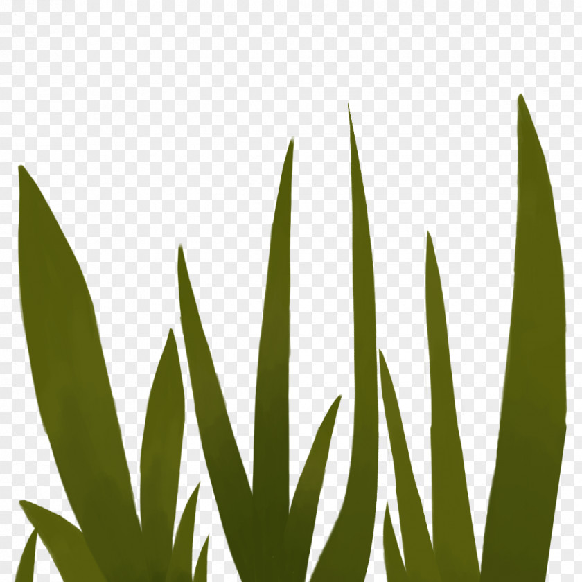 Leaf Grasses Plant Stem Font PNG