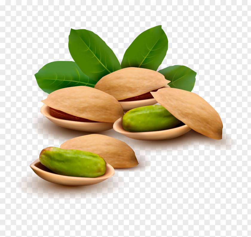 Leaves With Pistachios Pistachio Ice Cream Nut Illustration PNG