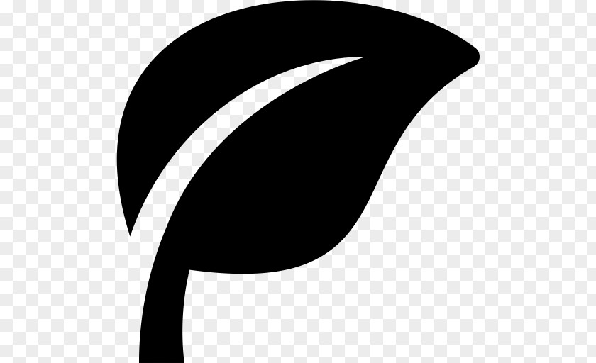 Wing Fin Leaf Logo PNG