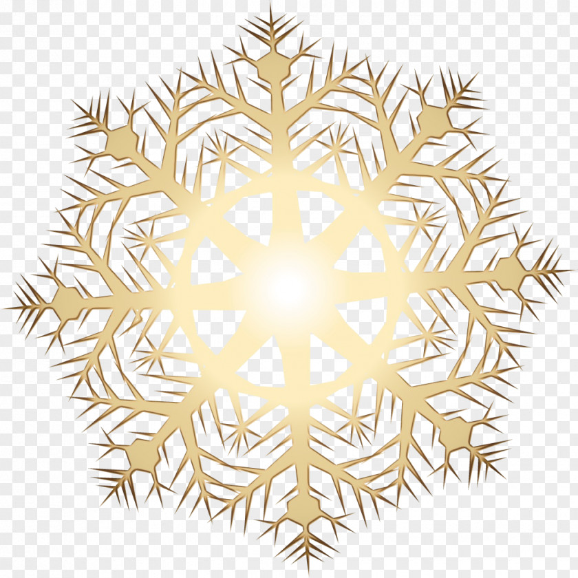 Ornament Snowflake PNG