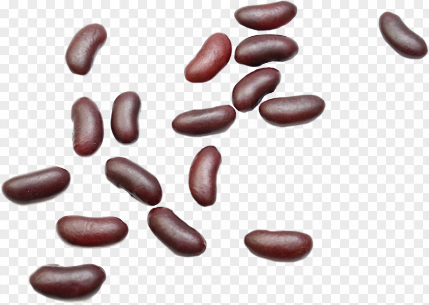 Red Bean Kidney Common Adzuki Chocolate-coated Peanut PNG