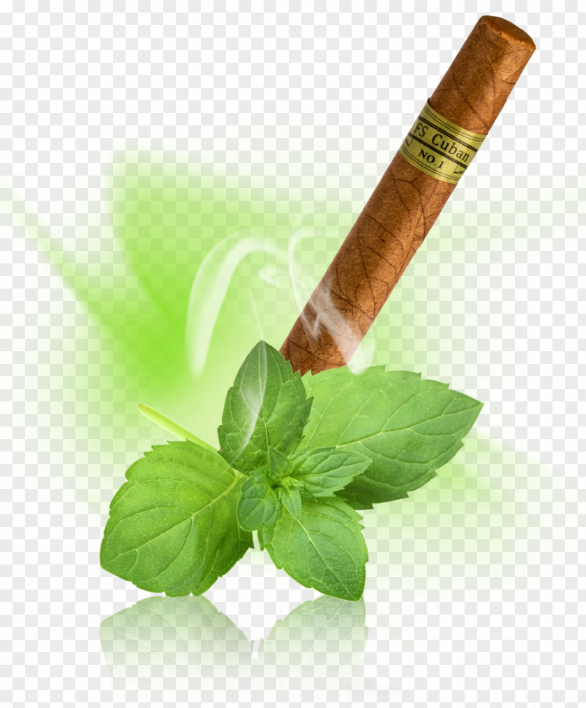Wassermelone Electronic Cigarette Tobacco Aroma Herb PNG
