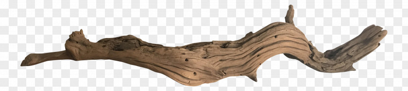 Wood Driftwood Sculpture Branch PNG