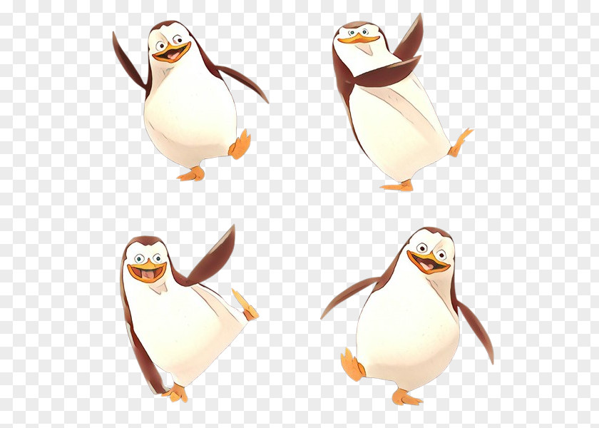 Animal Figure Seabird Penguin Cartoon PNG