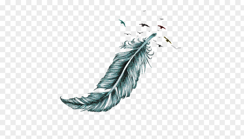 Bird Columbidae Feather Tattoo Eagle PNG