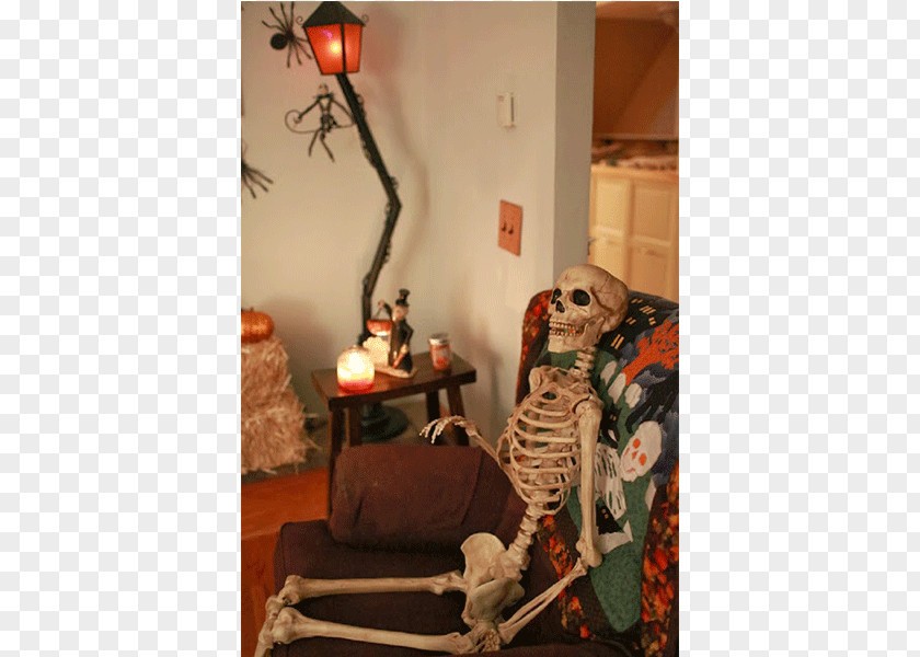 Design Interior Services Chair Crazy Bonez Pose-N-Stay Skeleton Halloween PNG