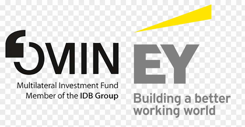 M) Business Deloitte InvestmentBusiness Ernst & Young Advisory Services Sdn Bhd (811619 PNG