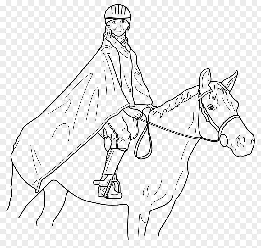 Rider Horse Equestrianism Drawing Clip Art PNG