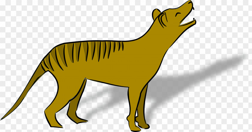 Tiger Thylacine Tasmanian Devil Gray Wolf Clip Art PNG
