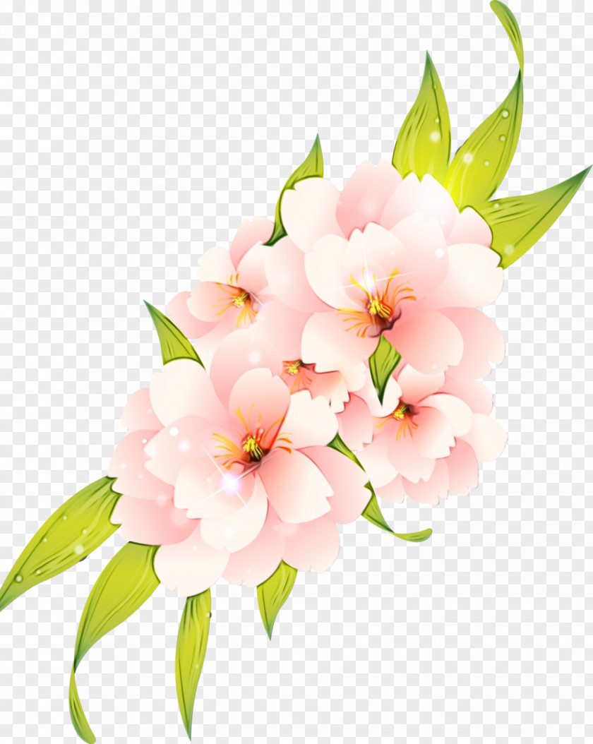Vector Graphics Clip Art Flower Transparency PNG