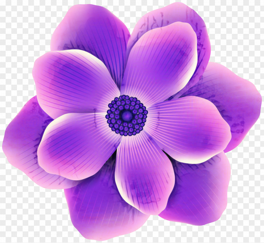 Violet Lilac Flower Petal Purple PNG