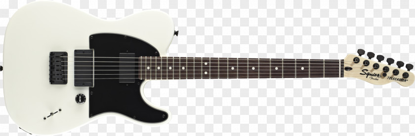 Acoustic Guitar Jim Root Telecaster Fender Stratocaster Squier PNG