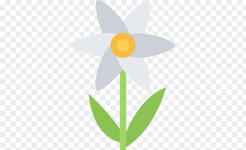 Camomile Flower Stock Photography Royalty-free Petal PNG