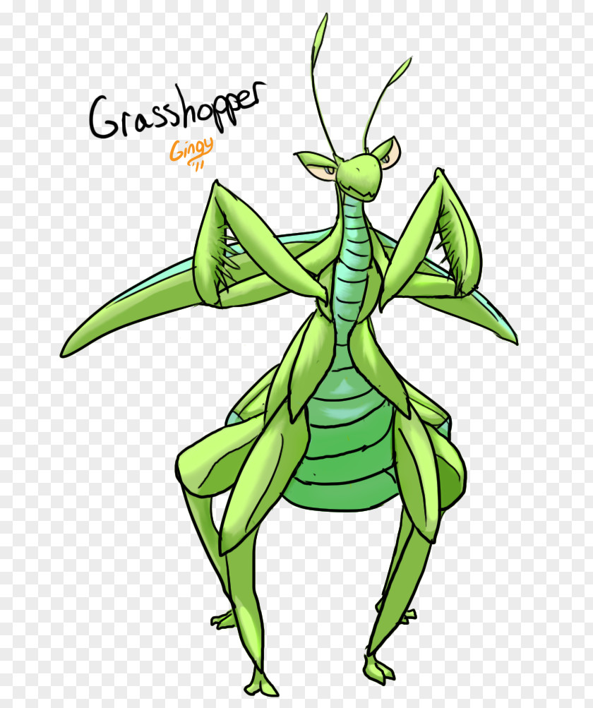 Grasshopper Insect Invertebrate Cartoon Clip Art PNG