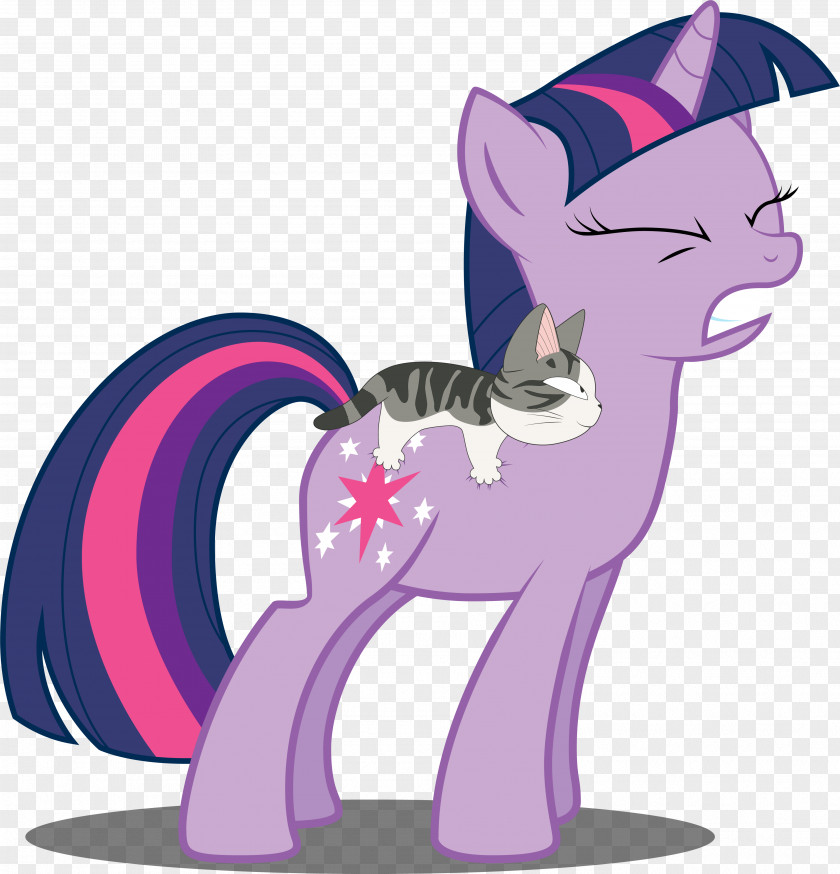 Kitten Twilight Sparkle Pony Cat Chi's Sweet Home PNG