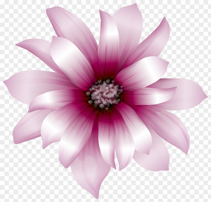 Large Pink Flower Transparent Clip Art Image Flowers PNG