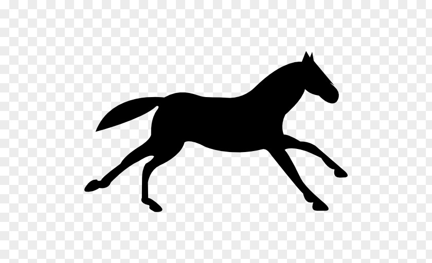 Running Horse Appaloosa Equestrian Black PNG