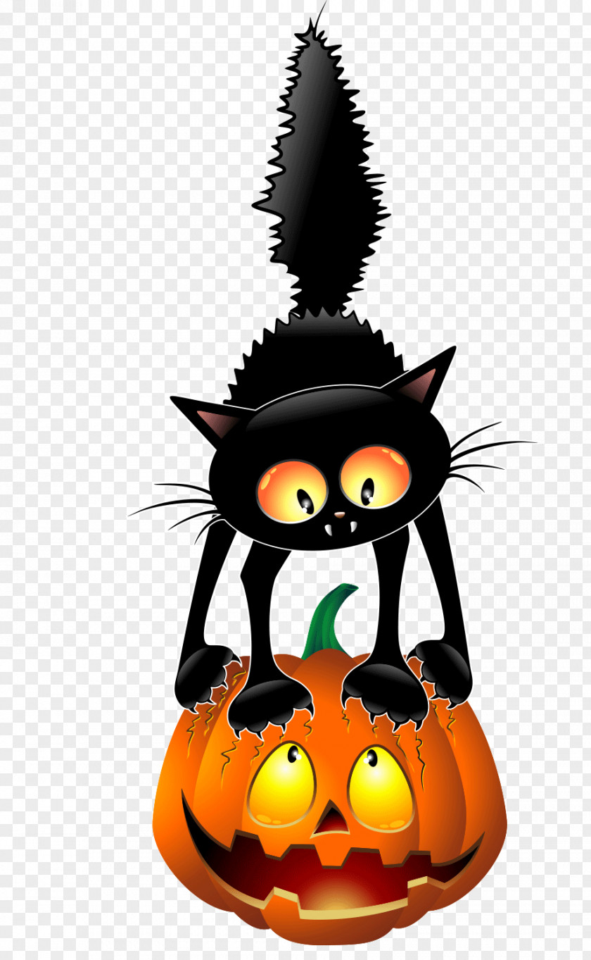 Black Cat Pumpkin Halloween Cartoon Clip Art PNG