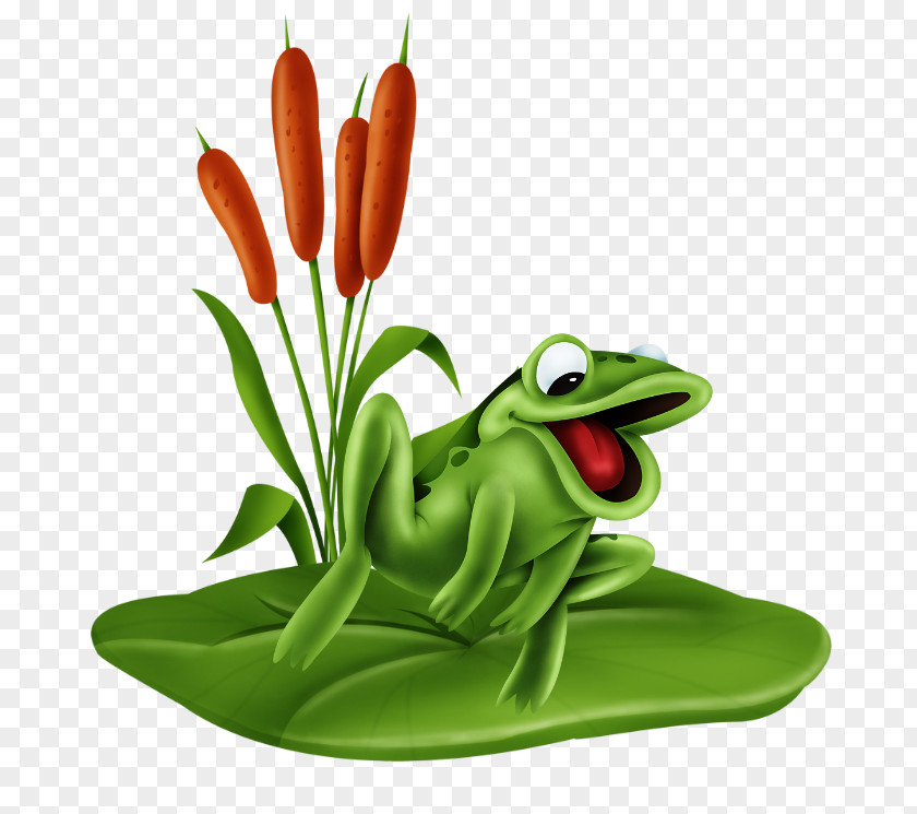 Frog Tree Humour Clip Art PNG
