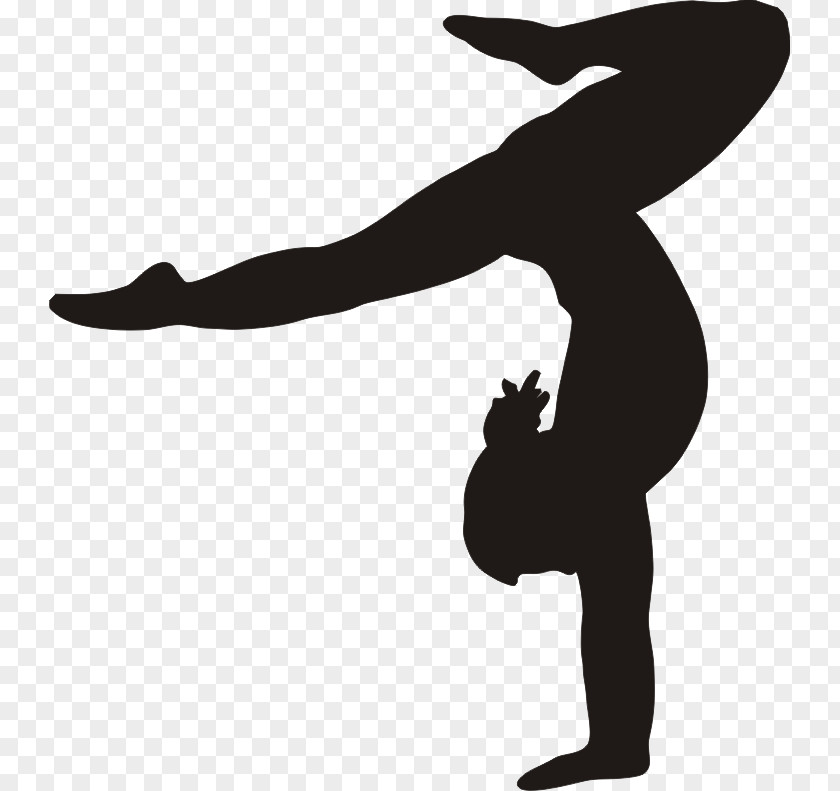 Gymnastics Photo Artistic Clip Art PNG