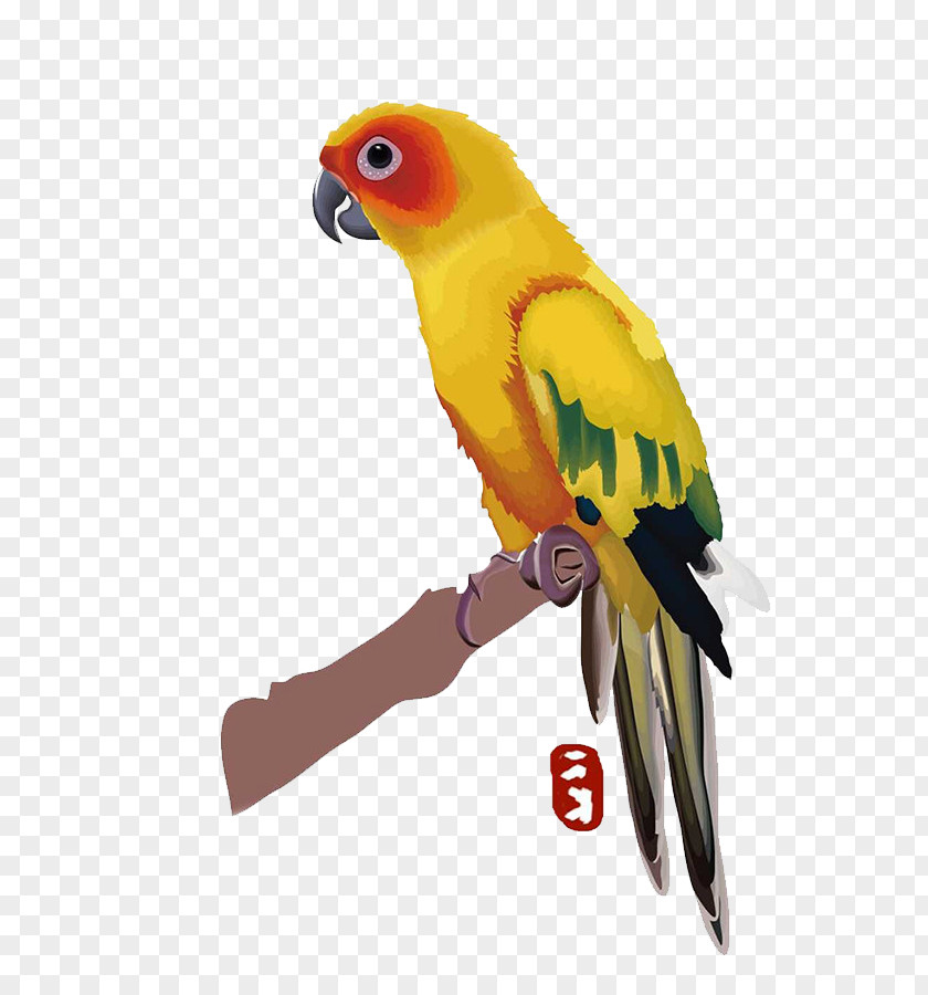 Hand-painted Parrot Budgerigar Lovebird Macaw PNG