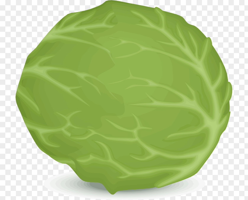 Lettuce Iceberg Leaf Vegetable Clip Art PNG