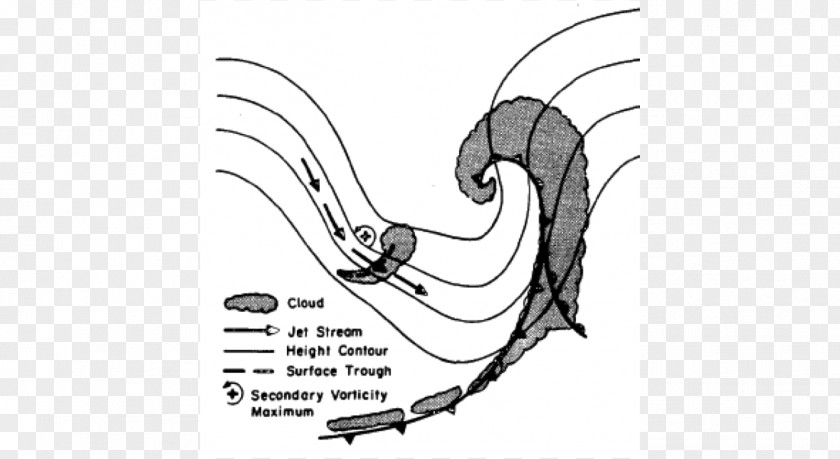 Comma Line Art Mammal Sketch PNG