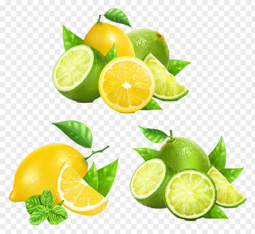 Fresh Lemon Juice Tangerine Grapefruit PNG