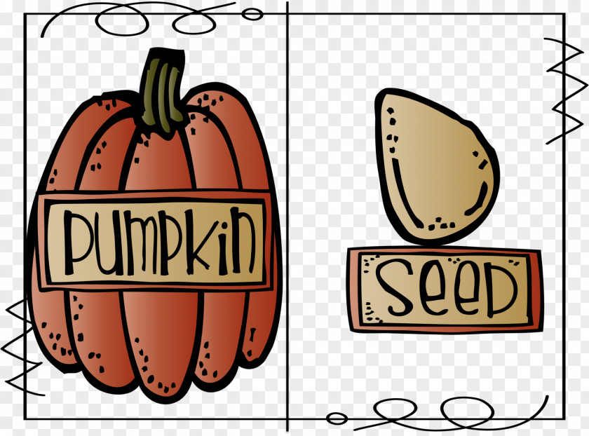 Pumpkin Seed The Art Of Teaching Writing Reading PNG