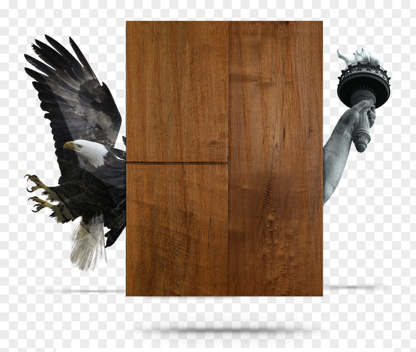 Wood Flooring Tile United States PNG