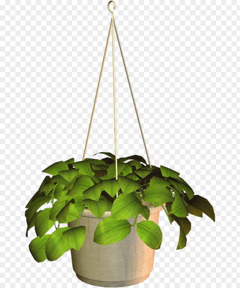 Flowerpot Cachepot Houseplant Clip Art PNG