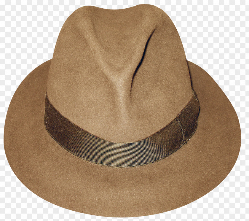 Hats Fedora Straw Hat PNG