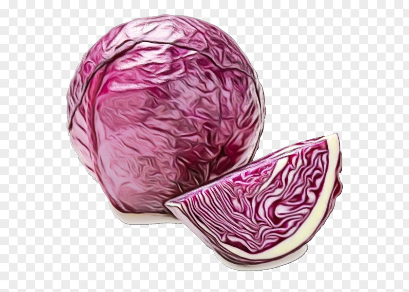 Leaf Vegetable Red Cabbage Pink Magenta Food PNG