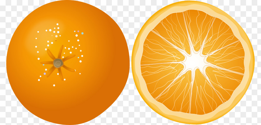 Fruits Clipart Orange Clip Art PNG